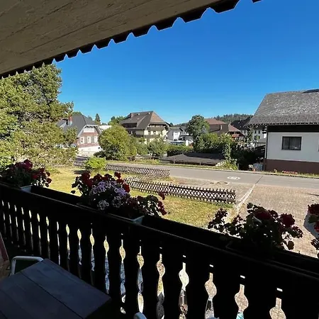 Schmidt - Schwarzwaldnest - Voll Ausgestattetes Apartment