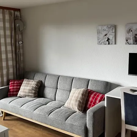 Schmidt - Schwarzwaldnest - Voll Ausgestattetes * Häusern