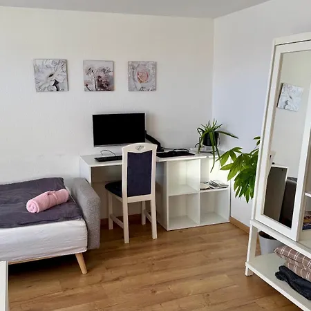 Schmidt - Schwarzwaldnest - Voll Ausgestattetes *